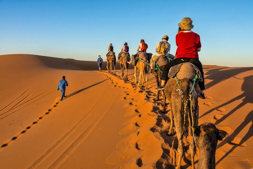 5-Day Siwa & Bahariya Oasis Tour