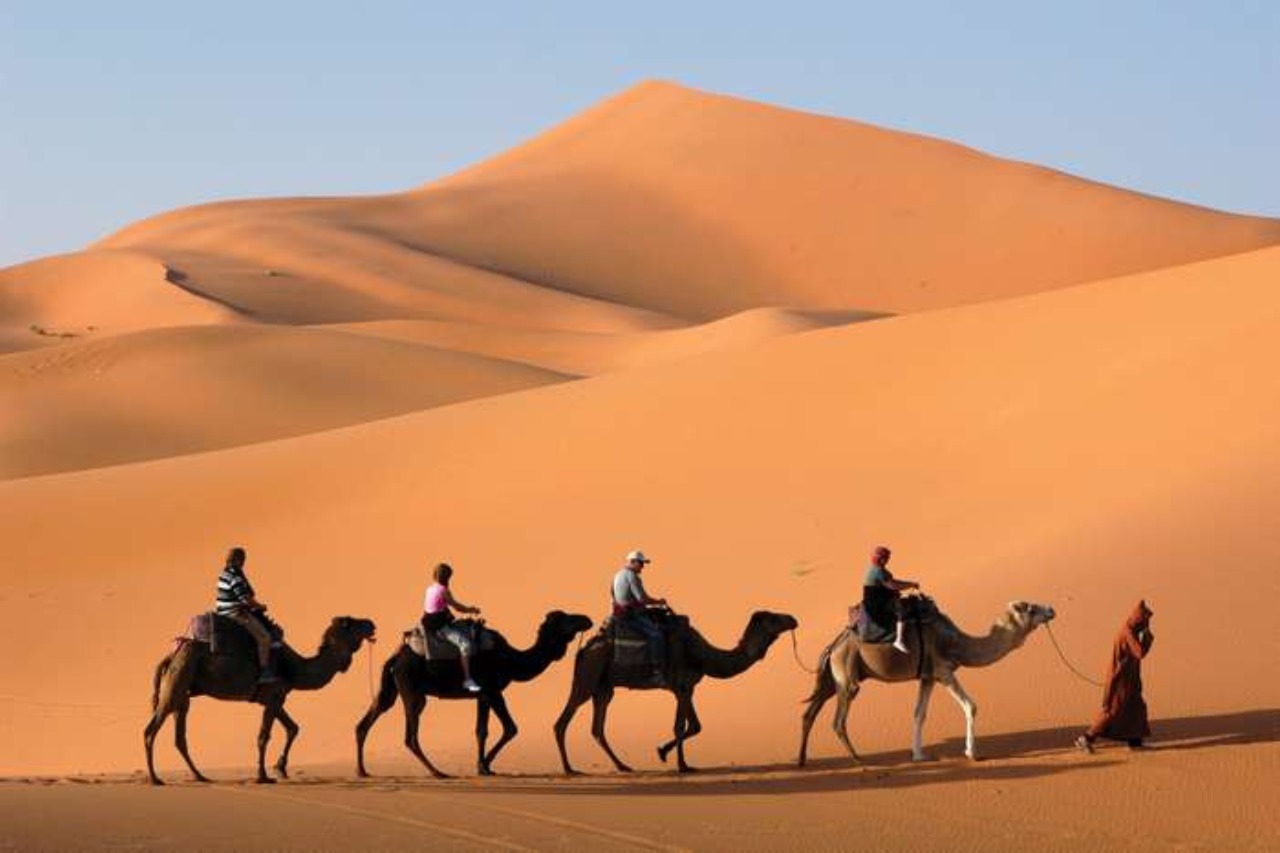 The Great Sand Sea in Siwa Oasis