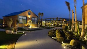Tranquil evening scene at a luxury eco-resort in the Fayoum desert, featuring a cozy wooden bungalow, cactus garden, palm trees, and soft pathway lighting under a clear desert sky.