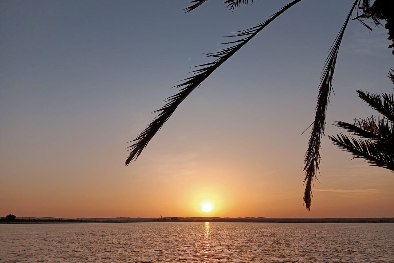 Vasta área do Oásis de Siwa mostrando exuberantes palmeiras datileiras e vegetação verde, cercada pelas areias douradas do deserto egípcio
