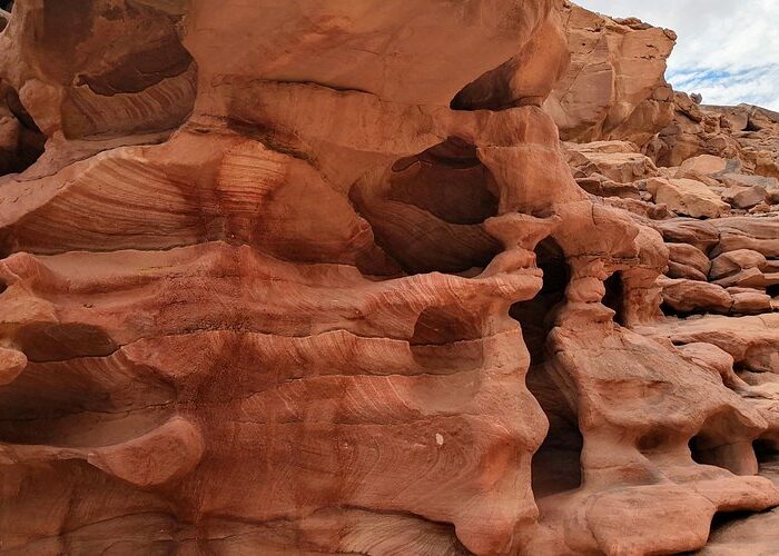 Strette pareti di arenaria erose, che mostrano vivaci strati di colori naturali come rosso, giallo e viola, all'interno del Canyon Colorato nel Sinai