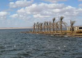 More than 7 Unforgettable Activities in Fayoum Oasis, Egypt