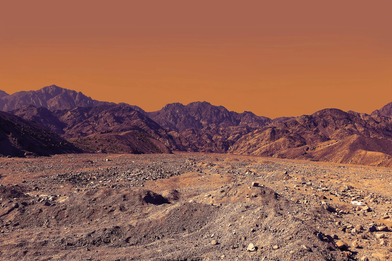 Vasta distesa del deserto del Sinai con imponenti montagne rocciose che si ergono all'orizzonte, sotto un cielo ampio