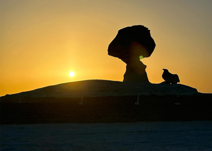 Formaciones rocosas de tiza blanca en el Desierto Blanco, bañadas por los tonos anaranjados de un espectacular atardecer