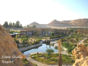Hotel Shali Resort