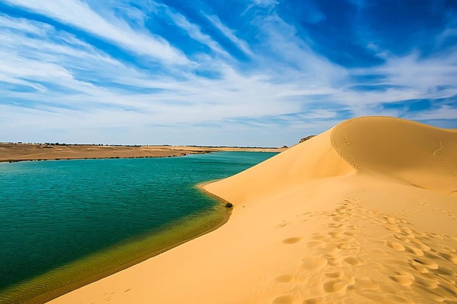 Oasis de Fayoum