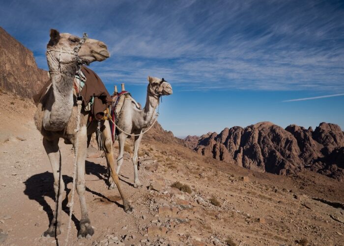 Le sommet rocheux du Mont Sainte-Catherine (Gebel Katherina), le plus haut point d'Égypte, entouré par le paysage désertique du Sinaï